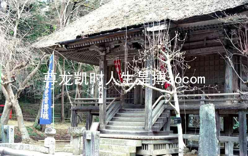 尊龙凯时人生是搏z6com